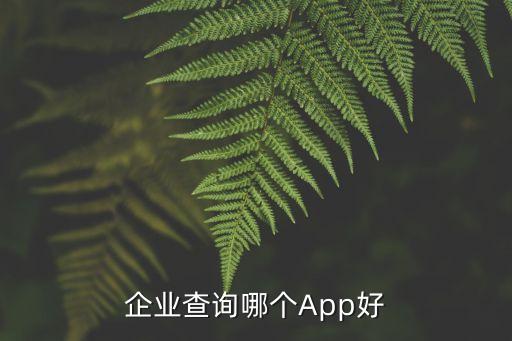企业查询哪个App好