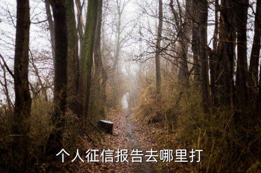 深圳个人征信报告去哪里打印，在深圳哪里打印个人征信记录
