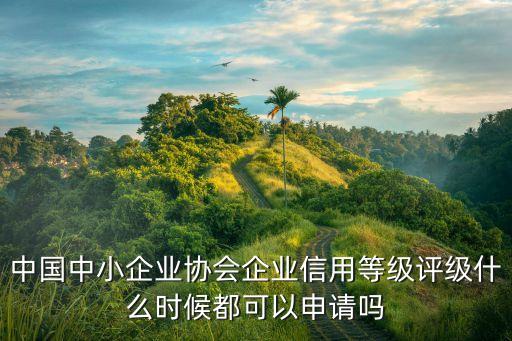 中国中小企业协会企业信用等级评级什么时候都可以申请吗