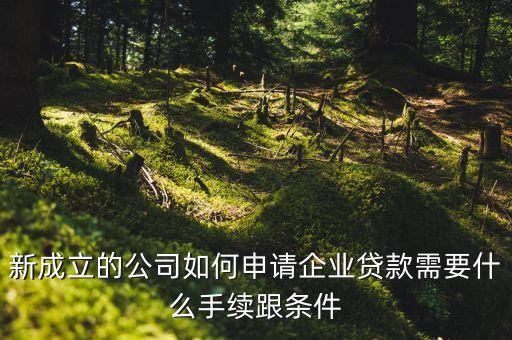 惠州企业信用贷款怎么申请，企业信用担保贷款怎么办理