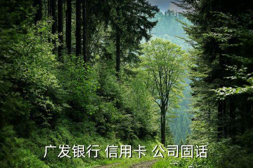 广发信用卡公司电话如何填，广发信用卡申请表固定电话怎么填啊现在谁还有固定电话啊