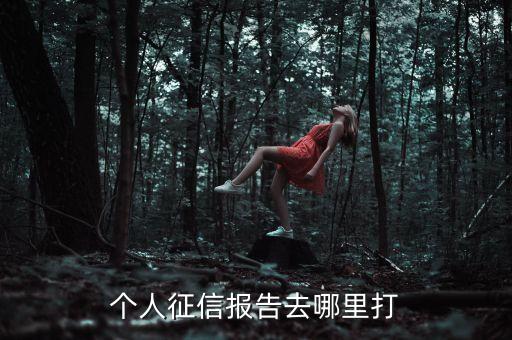 个人征信报告去哪里打