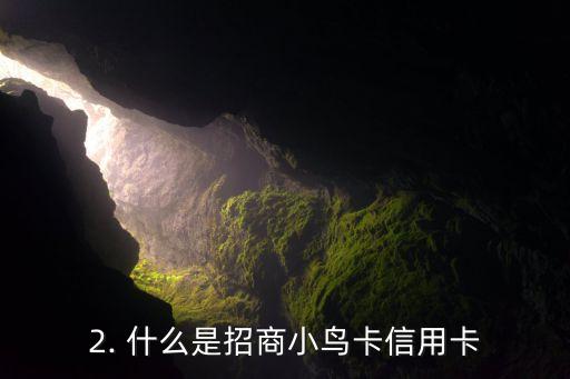 招商小鸟卡信用卡，招商小鸟卡信用卡：开启便捷生活支付之旅