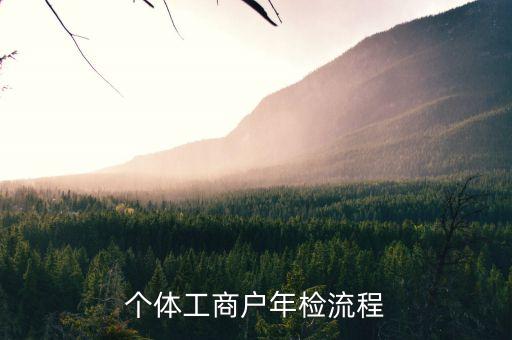 个体工商户企业年报流程，个体工商户年检流程