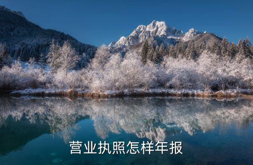 国家企业营业执照年报，营业执照年报怎么