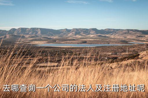 去哪查询一个公司的法人及注册地址呢