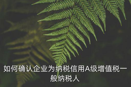 如何确认企业为纳税信用A级增值税一般纳税人