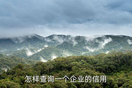 怎样查询一个企业的信用