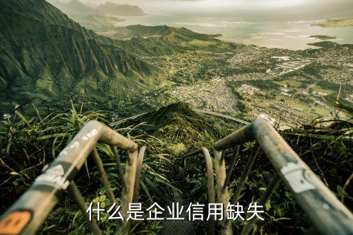公司信用不良包含什么意思，什么是企业信用缺失