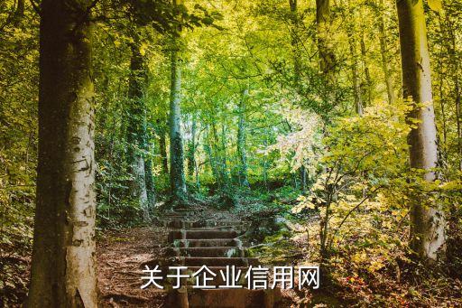 中国企业信用查询服务平台，关于企业信用网