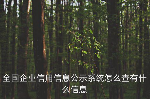 全国企业信用信息公示系统怎么查有什么信息