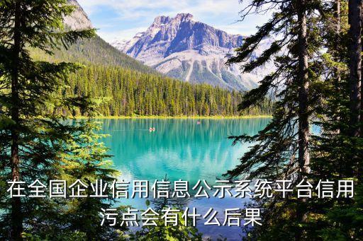 在全国企业信用信息公示系统平台信用污点会有什么后果
