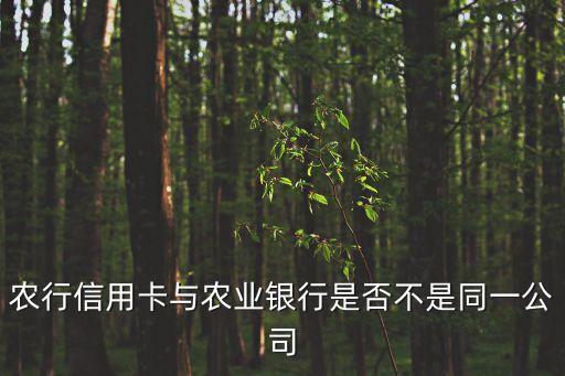 信用卡属于哪个公司的业务，信用卡透支属于商业银行的什么业务