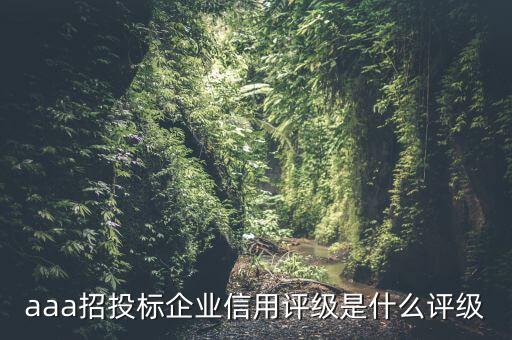 企业信用评级的主体为哪些，企业信用评级的主要障碍