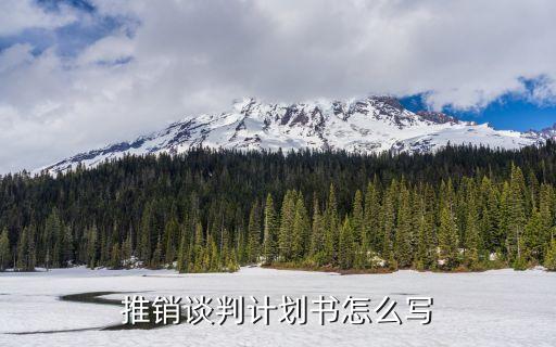 公司信用推销的计划怎么写，请问怎么写一份推销方案