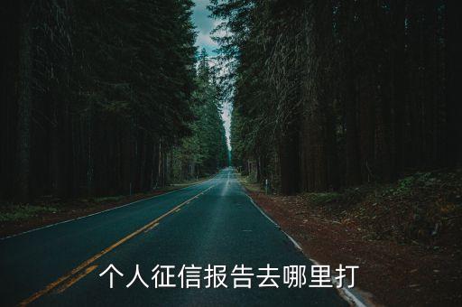 网上怎么查个人征信报告打印，如何查询个人征信