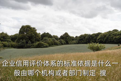 企业信用评价体系的标准依据是什么一般由哪个机构或者部门制定  搜