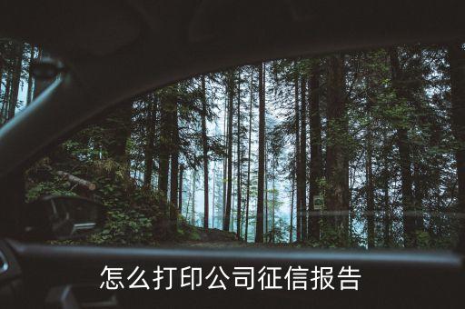 怎么打印公司征信报告
