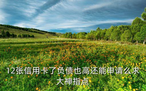 12张信用卡了负债也高还能申请么求大神指点