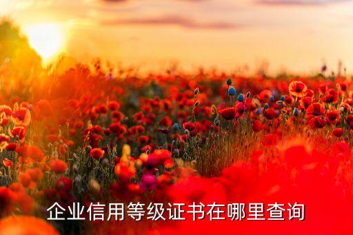 企业银行信用等级证明怎么查，国家商务部aaa级企业信用等级证书查询怎样查
