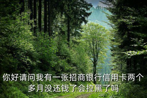 你好请问我有一张招商银行信用卡两个多月没还钱了会拉黑了吗