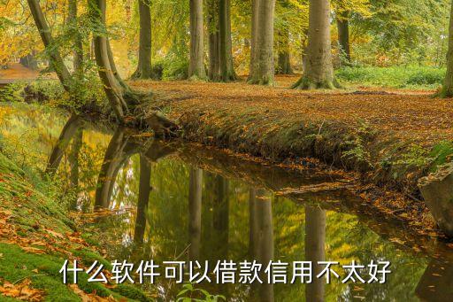 什么软件可以借款信用不太好