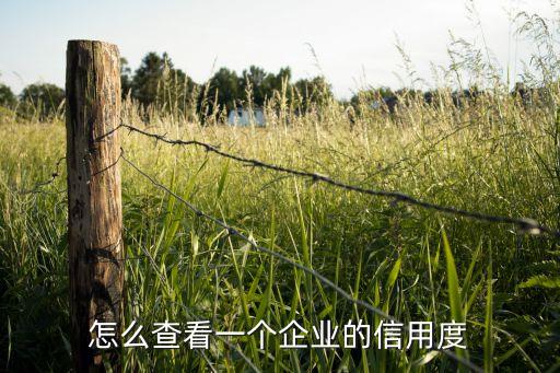 国企如何查企业信用，如何查询企业的信用记录