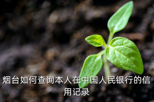信用烟台官网，烟台如何查询本人在中国人民银行的信用记录