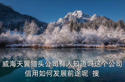 威海天翼猎头公司有人知道吗这个公司信用如何发展前途呢  搜
