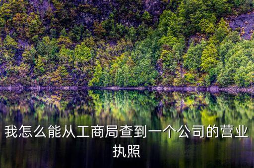 我怎么能从工商局查到一个公司的营业执照