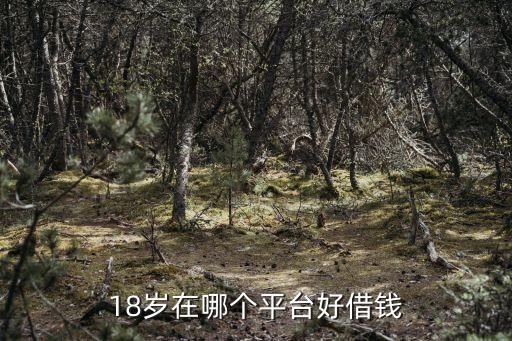 18岁在哪个平台好借钱