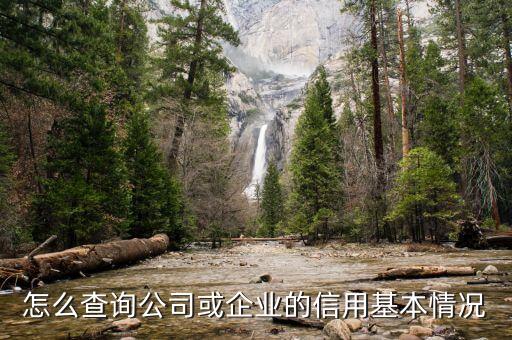 怎么查询公司或企业的信用基本情况