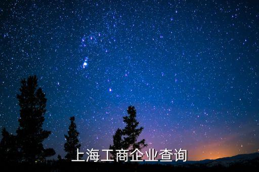 工商登记查询 上海，上海的企业工商信息去哪里查询