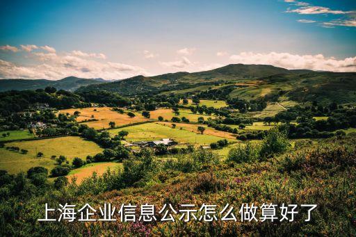 上海企业信息公示怎么做算好了
