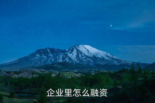 企业里怎么融资