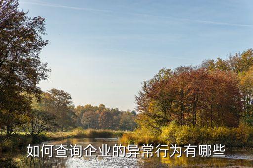 北京企业信用网怎么查异常，北京企业信用网 网站打不开是怎么回事 提示访问异常 原因可