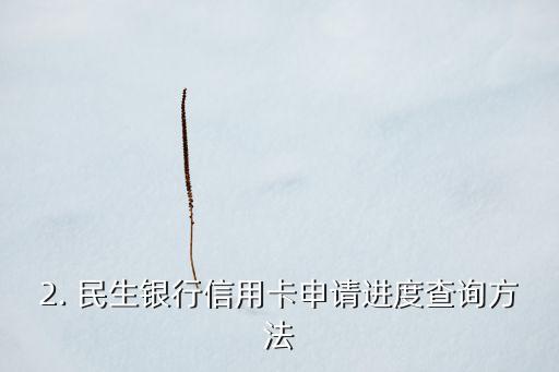 民生银行信用卡如何申请进度查询，民生银行信用卡申请进度查询攻略