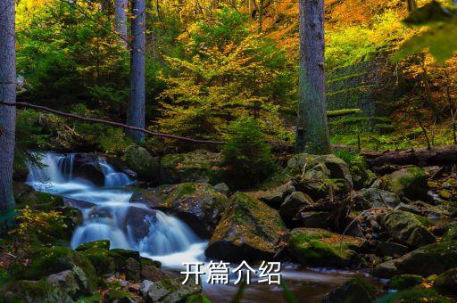 开篇介绍