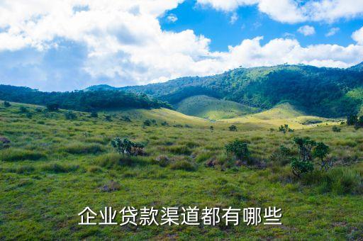 企业贷款渠道都有哪些