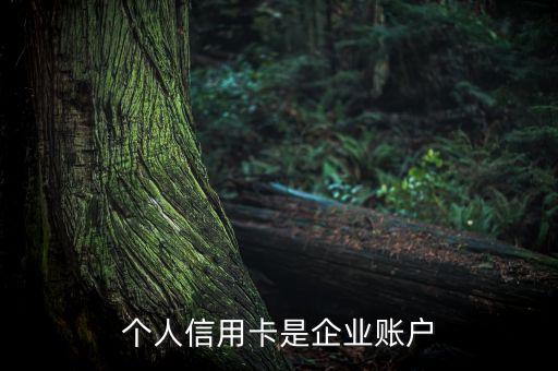 个人信用卡是企业账户