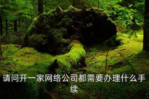 怎么注册网络公司需要做什么，请问开一家网络公司都需要办理什么手续