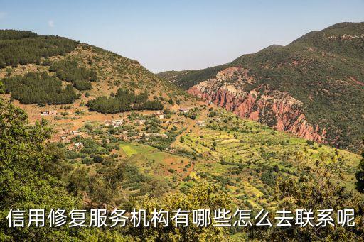 信用修复服务机构有哪些怎么去联系呢