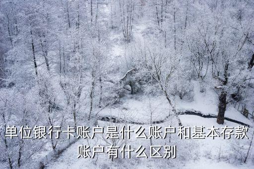 单位银行卡账户是什么账户和基本存款账户有什么区别