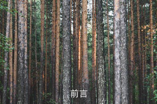 前言
