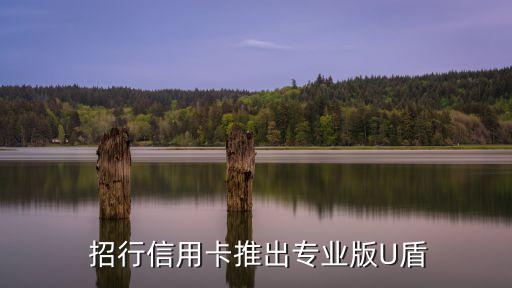 招行信用卡推出专业版U盾