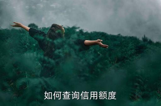 如何查询信用额度