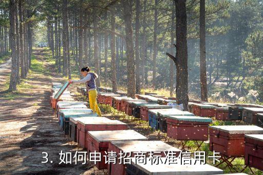 招商标准信用卡图片，招商标准信用卡的图片展示