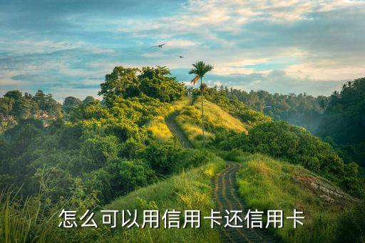 企业信用卡还款神器怎么用，通过POS机给信用卡还款怎么操作呢具体点什么流程