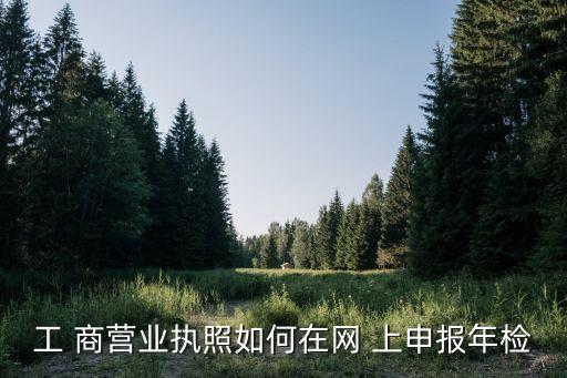 营业执照怎样网上申报年检，工 商营业执照如何在网 上申报年检