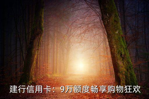 建行信用卡:9万额度畅享购物狂欢